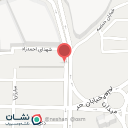 عکس پیتزا گندم