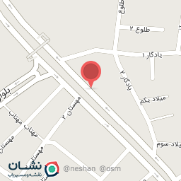 عکس مرغ فروشی