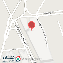 عکس کفش و کیف آرمُد