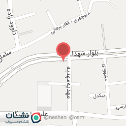 عکس آجیل و خشکبار شیرزاد