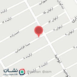 عکس کفش آلفا زالی 