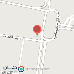 عکس پیتزا سلامت