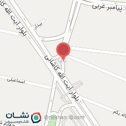 عکس کبابی شاهین