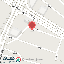 عکس کفش طبی نیکان