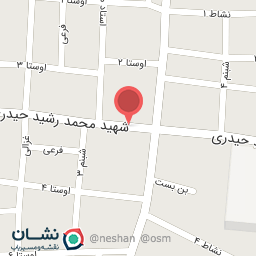 عکس صندل و جوراب پالیک