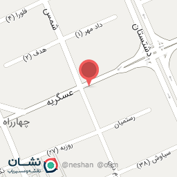 عکس نقره و بدلیجات یاس