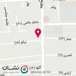 عکس پیتزا آتیش