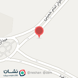 عکس تزئینات اتومبیل ناصر