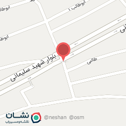 عکس پیتزا ساندویچ