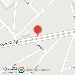 عکس کارشناسی رنگ خودرو  موسوی