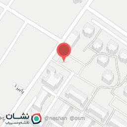 عکس دکتر سولماز نتنج