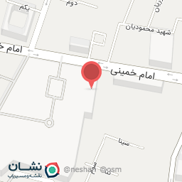 عکس شرکت دیجیتال مارکتینگ پونیما