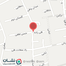 عکس پیتزا روسته