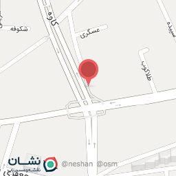 عکس دکتر نسیم کاظمی