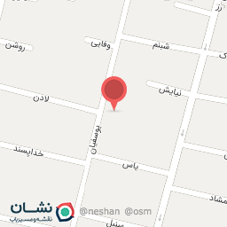 عکس فست فود مرغابی زیبا