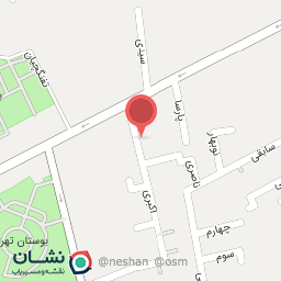 عکس بازرگانی خانم رشیدی 