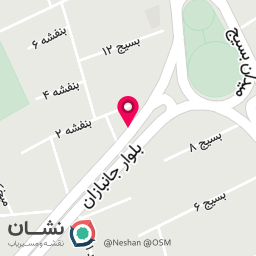 عکس فست فود سعید