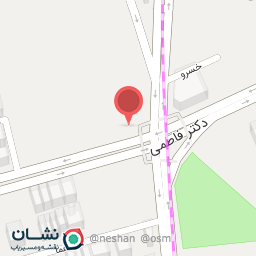 عکس فست‌فود ویژه مهران