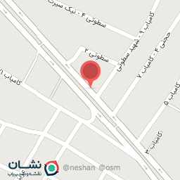 عکس کاروان زیارتی قاسم بن الحسن (ع)