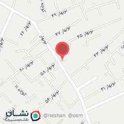 عکس تهیه غذای لاجوردی