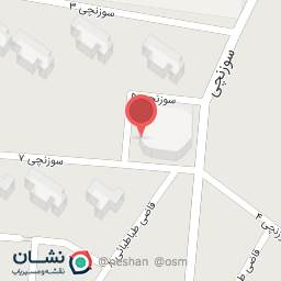 عکس پیتزا 2×1