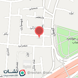 عکس تهیه غذایی کباب خان