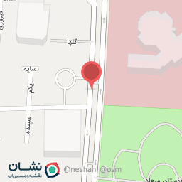 عکس پارس برگر