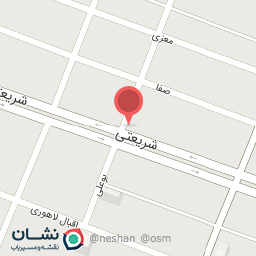 عکس کیف و کفش ماندانا مارک سابق