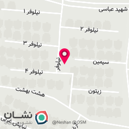عکس تعمیرات پکیج سروش