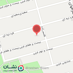 عکس جی پی اس شخصی امین