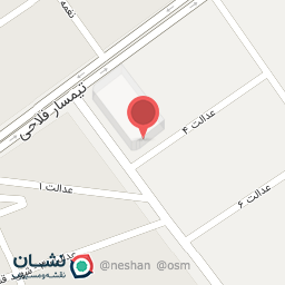 عکس لباس زیر مادام