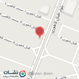 عکس غذاهای ترکیبی فیوژن