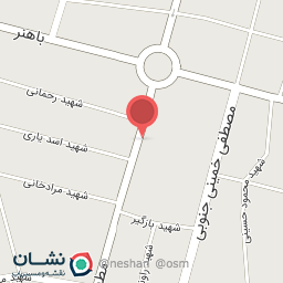 عکس فست فود خس