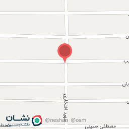 عکس فلافلی برادران سید 