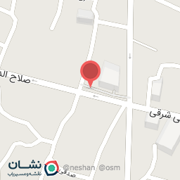 عکس طلای فتحی