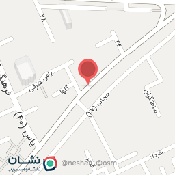 عکس صافکاری و نقاشی کلاسیک (شمگانی)