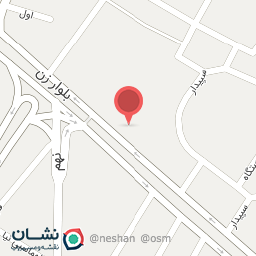 عکس مرغ و ماهی جواد چقامیرزایی