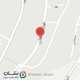 عکس کمپانی باجناق ها