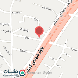 عکس اتو کالری امین