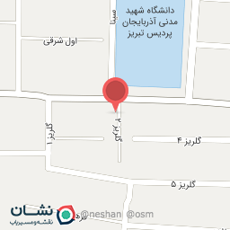 عکس مرغ آرشام 