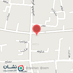 عکس فرش عزیزی