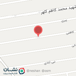 عکس هییت متوسلین به قمر بنی هاشم (ع)