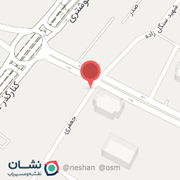 عکس نمایشگاه ماشین حاج حسین موسی پور