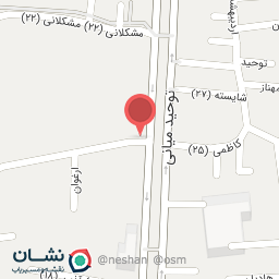 عکس دکتر آزاده کازرونی