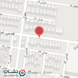 عکس برق خودرو موسی الرضا