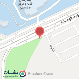 عکس فست‌فود برگر اعیان