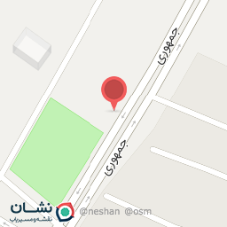 عکس پیتزا ساندویچ میران