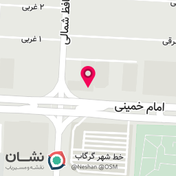 عکس کفش آنیل