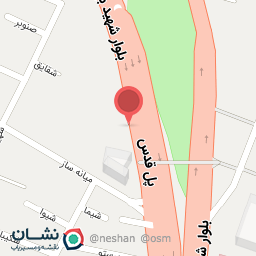 عکس جوجه بروستد دهخدا