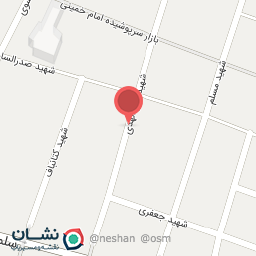 عکس کیف و کفش ویکتوریا 